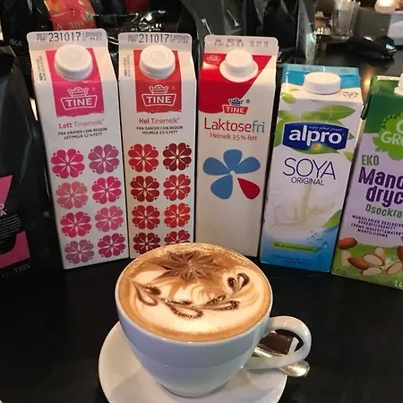 Kaffebar & בית הארחה סטרין